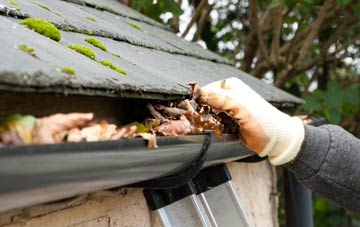 gutter cleaning Pendre