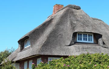 thatch roofing Pendre